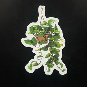Hanging Philodendron Plant Sticker